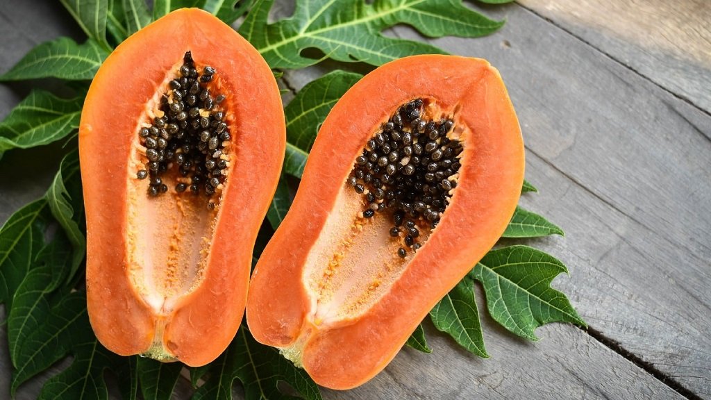 Papaya / Papita Long Red Seeds | Tropical Fruit Plant Seeds For Home Garden & Terrace