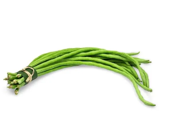 Yard Long Beans/Asparagus Vegetable Plant Seeds For Home Garden & Terrace