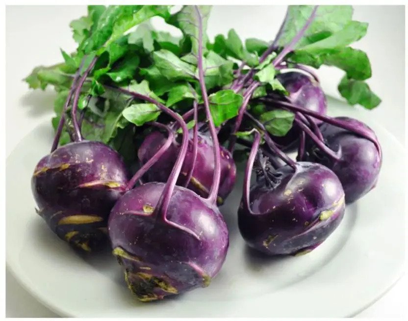 Kohlrabi Seeds – Purple Vienna | Knol Khol / Ganth Gobi | Winter Vegetable Seeds