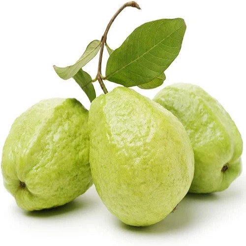 Guava Seeds (Amrood Beej) for Home Garden & Terrace