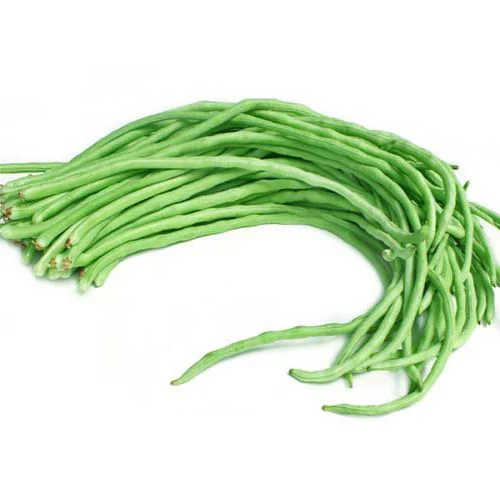 Lobia Beans/Cowpea Vegetable Plant Seeds For Home Garden & Terrace