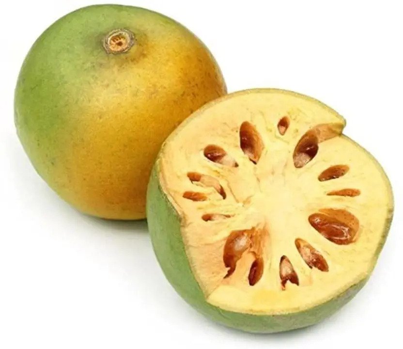 Bel Patra / Bael Fruit Seeds (Aegle marmelos) for Home Garden