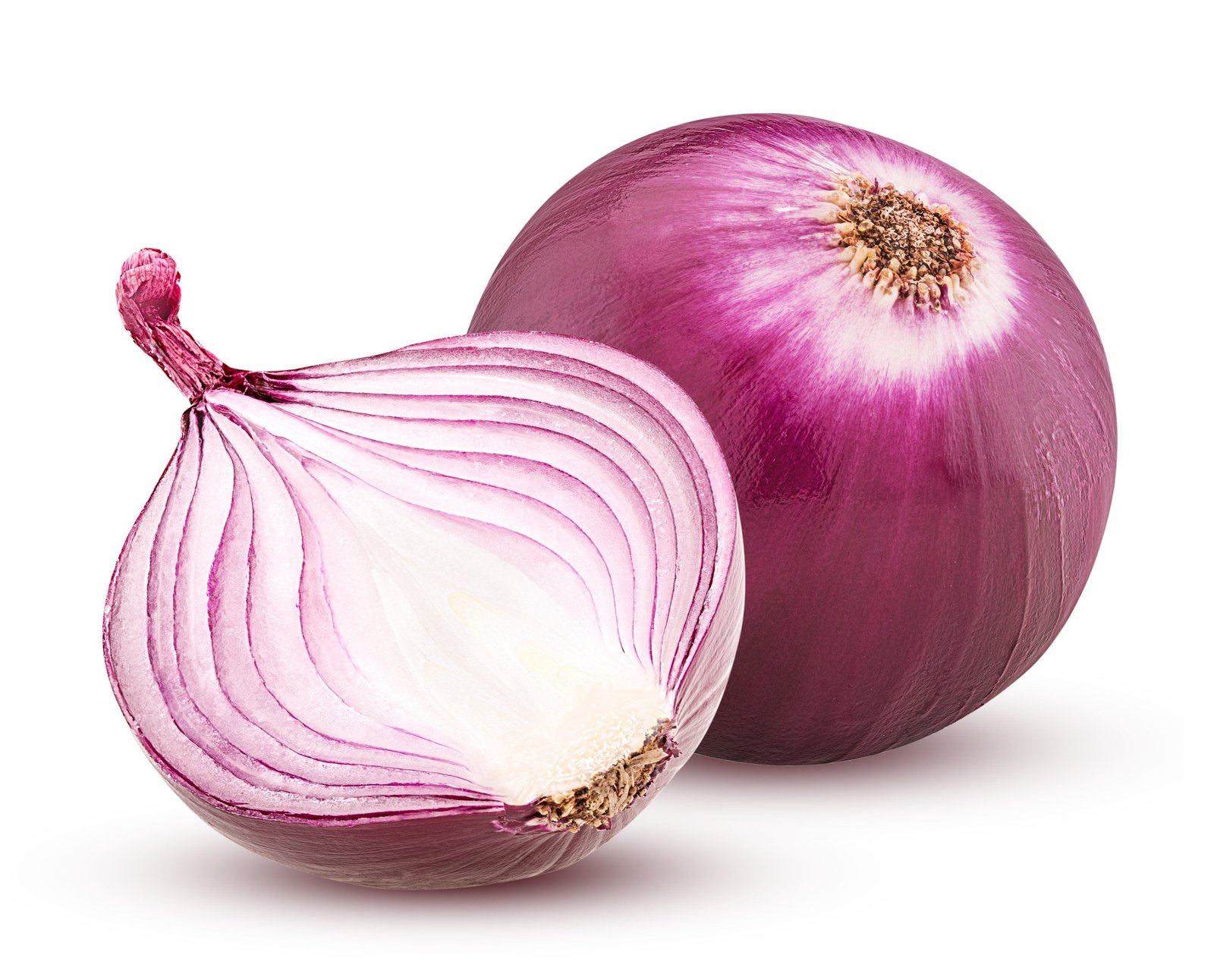 Red Onion / Lal Pyaj Vegetable Plant Seeds | Best For Home Garden & Terrace