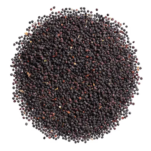 Gypsophila Flower Seeds (Baby’s Breath) for Home Garden