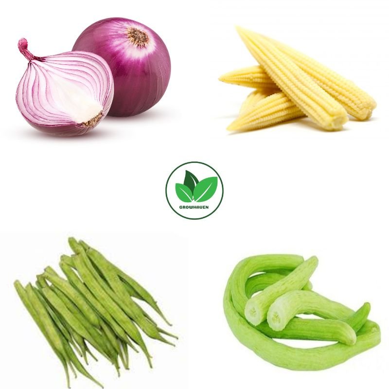 Combo Pack of 4 Unique Vegetable Plant Seeds | Best For Home Garden & Terrace