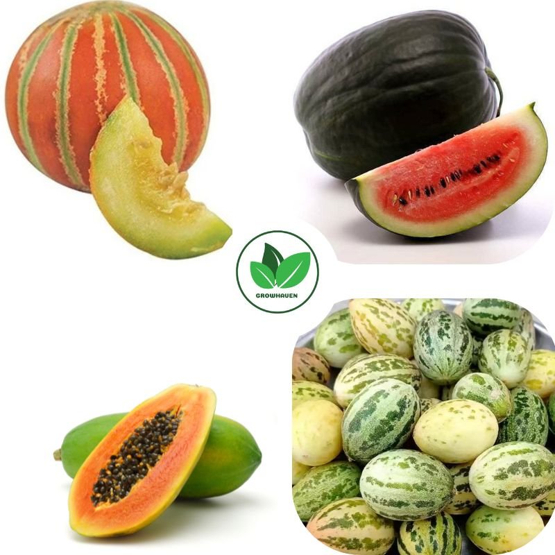 Combo of 4 Summer Fruit Plant Seeds | Best For Home Garden & Terrace