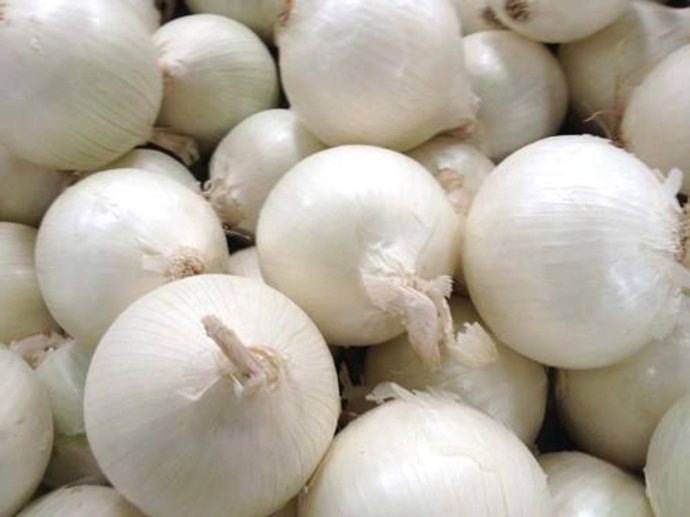 White Onion / Safed Pyaj Vegetable Plant Seeds | Best For Home Garden & Terrace