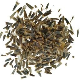 Tithonia Orange Flower Seeds (Mexican Sunflower) for Home Garden