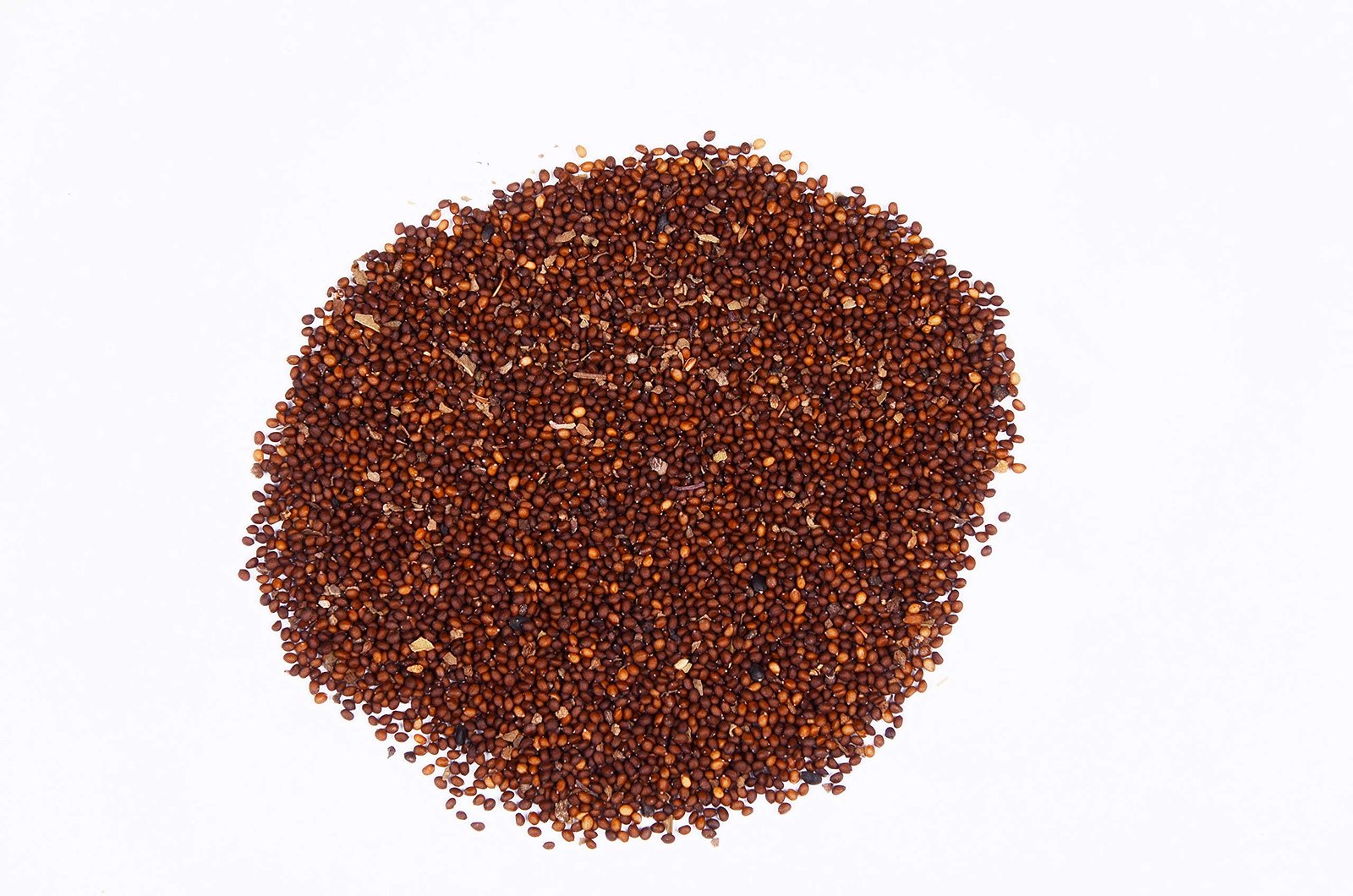 Holy Basil / Tulsi Vegetable & Herb Seeds for Home Garden